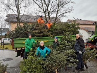 Christbaumsammlung 2020 -332-
